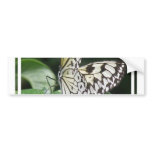 White and Black Butterfly Bumper Sticker bumper stickers