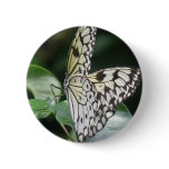 White and Black Butterfly Buttons