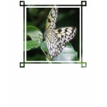 White and Black Butterfly Long Sleeve Shirt