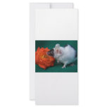 White and Black mouse Orange Tea Rose rack cards