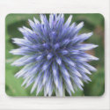 White and Blue Globe Thistle Mousepad