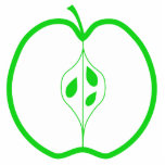 White and Green Apple Illustration. Fruit. Custom photo sculptures