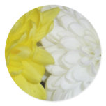 white and yellow chrysanthemums sticker