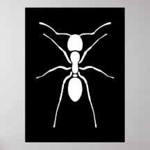 White Ant Poster