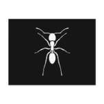 White Ant Silhouette Custom Post Cards