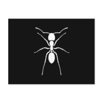 White Ant Silhouette Custom Post Cards