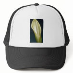 white Ape (Xanthosoma roseum) flowers Trucker Hat