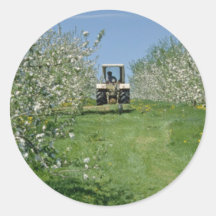 white Apple orchard cultivating, Nova Scotia flowe Round Sticker