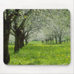 white Apple trees in the spring flowers Mousepads