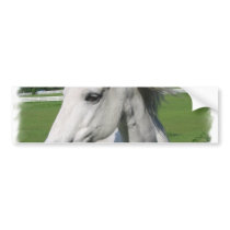 White Arabian Horse Bumper Sticker