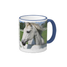 White Arabian Horse Coffee Mug