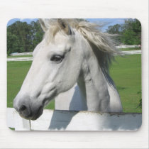 White Arabian Horse Mouse Pad