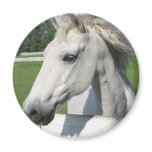White Arabian Horse Round Magnet