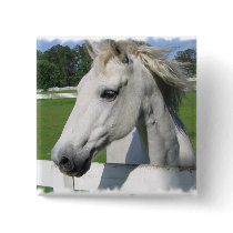 White Arabian Horse Square Pin