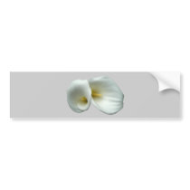 White Arum Lilies Bumper Sticker