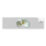 White Arum Lilies Bumper Sticker