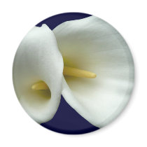 White Arum Lilies Fridge Magnet