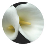 White Arum Lilies stickers