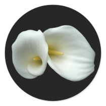 White Arum Lilies Sticker