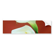 white Arum lily flowers Bumper Sticker