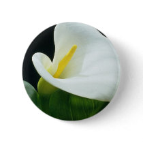 white Arum lily flowers Button
