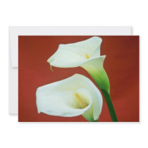 white Arum lily flowers Personalized Invitation