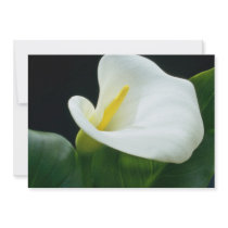 white Arum lily flowers Personalized Invitation
