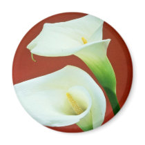 white Arum lily flowers Fridge Magnets