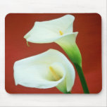 white Arum lily flowers mousepads