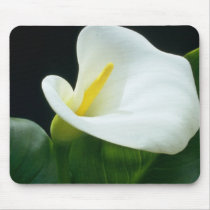 white Arum lily flowers Mousepads