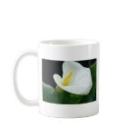 white Arum lily flowers mugs