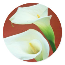 white Arum lily flowers Sticker