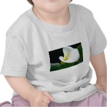 white Arum lily flowers Tee Shirts