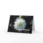 White Aster Birthday Greetings cards