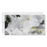 White Azalea - Thanks photo cards