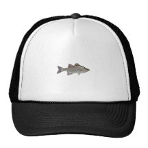 White Bass Logo Hats