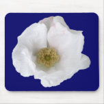 White Beach Rose Coordinating Items Mouse Pad