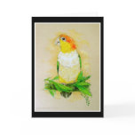 White Bellied Caique cards