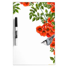 White Bellied Nuthatch on Trumpet Vine Dry Erase B