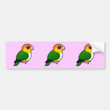 White-bellied Parrot Bumper Stickers