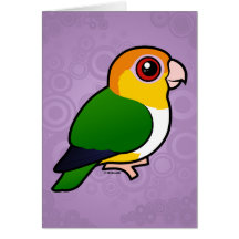 White-bellied Parrot Card