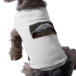 White Beluga Whale  Dog Shirt pet clothing