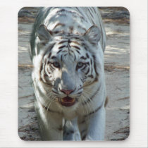 White Bengal Tiger Mousepads