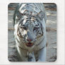 White Bengal Tiger Mousepads
