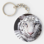 White Bengal Tiger Photography Key Chains