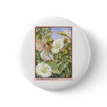White Bindweed Fairy buttons