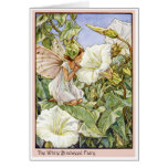 White Bindweed Fairy cards