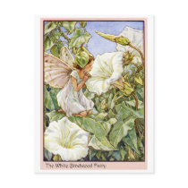 White Bindweed Fairy Post Card