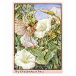 White Bindweed Fairy t-shirts