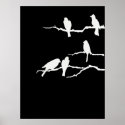 White Bird Silhouette Poster posters